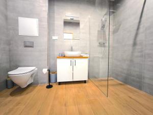 un bagno con wc, lavandino e doccia di Apartmány Karpatia s historickým výkladom a Svidník Altre 9 foto