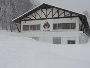 Hakuba Deer Lodge v zimě