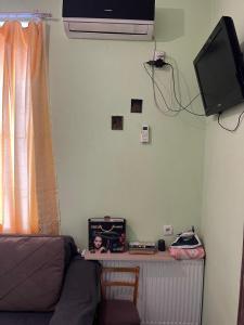 TV a/nebo společenská místnost v ubytování Viktoriahotel