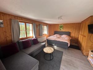 TV a/nebo společenská místnost v ubytování Chalet Berken