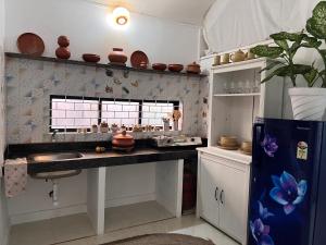 una cucina con piano di lavoro e frigorifero di Janice Villa Arambol ad Arambol