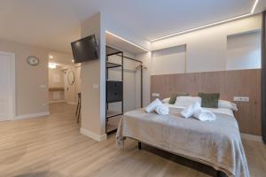 ein Schlafzimmer mit einem Bett und einem Fernseher an der Wand in der Unterkunft HALO Vigo CUATRO in Vigo