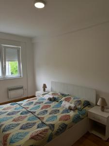 Postel nebo postele na pokoji v ubytování Olimp apartmani Sokobanja