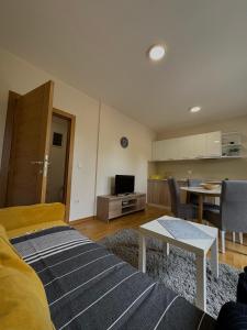 TV a/nebo společenská místnost v ubytování Olimp apartmani Sokobanja