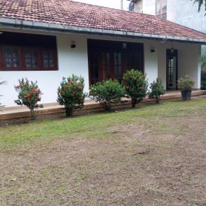 a house with bushes and flowers in the yard at Leafy Villa in Mirissa