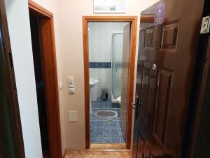Bilik mandi di Apartman Sweet Dreams