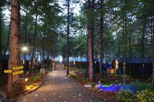 杰尔宾特Saklı Vadi Tiny House的一条穿过森林的小路，旁边有一排小房子