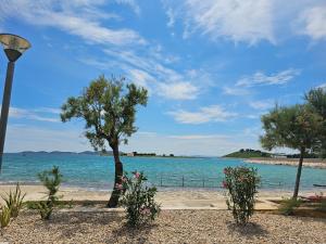 a tree on the beach next to the water at Mobile homes Tina Pakoštane in Pakoštane