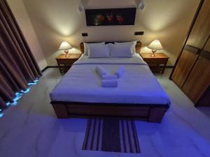 Postel nebo postele na pokoji v ubytování Villa Infinity Negombo