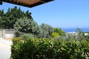 Paesaggio naturale nelle vicinanze dell'appartamento