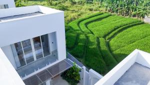 een luchtzicht op een huis met een groene heg bij White Palm Villa in Canggu