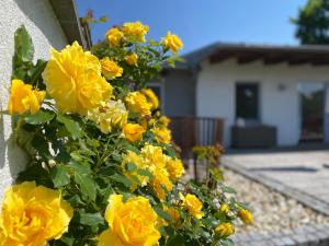 Jardín al aire libre en Cottage Gols
