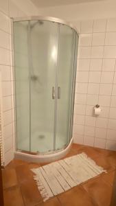 a shower with a glass door in a bathroom at Penzion Panská in České Budějovice +28 photos