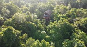 ein Baumhaus mitten im Wald in der Unterkunft Evamayah in Leona Vicario