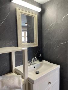 a bathroom with a sink and a mirror at Lilas, Dahlia, Palme Bleue in Saint-Aignan