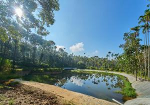 Příroda nedaleko rezortu