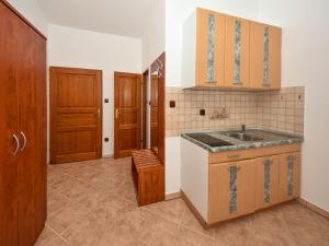 Kuchyň nebo kuchyňský kout v ubytování Apartment Delfin-11 by Interhome