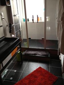 bagno con doccia e tappeto rosso di Maison ZEN de ville à 2 pas de la PLAGE a Dunkerque