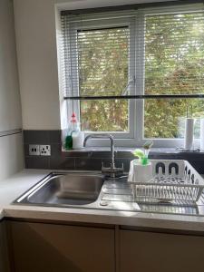 a kitchen counter with a sink and a window at 2 Bedroom Flat Bracknell Free Parking in Bracknell +7 photos