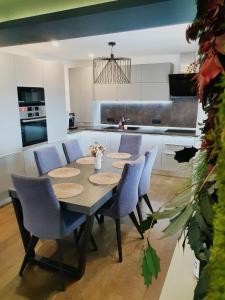 Η κουζίνα ή μικρή κουζίνα στο Opper luxury apartament