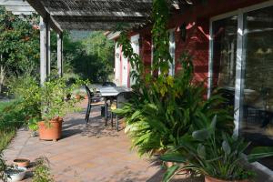 A garden outside L'Albaida, tranquility, views of sea and mountains