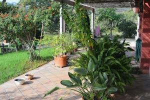 A garden outside L'Albaida, tranquility, views of sea and mountains
