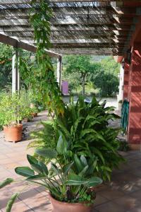 A garden outside L'Albaida, tranquility, views of sea and mountains
