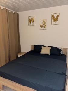 Postel nebo postele na pokoji v ubytování La Canopé - T2 calme et central avec son jacuzzi