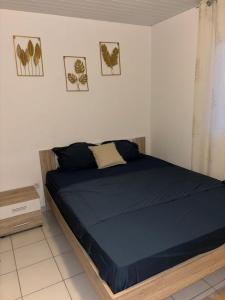 Postel nebo postele na pokoji v ubytování La Canopé - T2 calme et central avec son jacuzzi