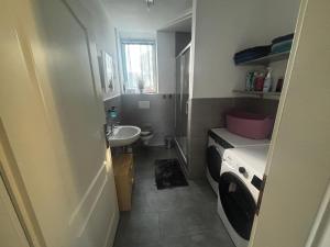 a small bathroom with a sink and a washing machine at Casa Andrea Apartment mit Balkon in Wallersdorf +9 photos
