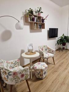 Televízia a/alebo spoločenská miestnosť v ubytovaní St Donat Belvarosi Apartman Koszeg