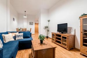 a living room with a blue couch and a tv at Plaza Mayor II - Apartamento de 2 dormitorios in Madrid