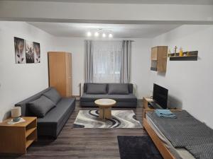 a living room with a couch and a tv at House Karla in Voćin
