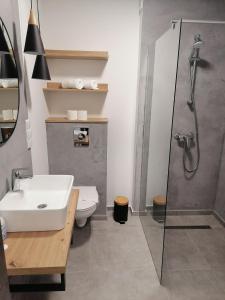 Koupelna v ubytování Pokoje Hotelowe LUPUS + 37 fotografií