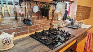 a stove top oven sitting on top of a kitchen counter at Holiday home Stari grunt in Lopatinec