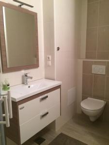 a bathroom with a sink and a toilet and a mirror at Apartment Franc in Kranjska Gora