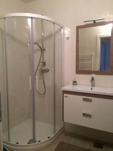 y baño con ducha acristalada y lavamanos. en Apartment Franc, en Kranjska Gora