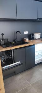Kuhinja ili čajna kuhinja u objektu Aspectus apartmani Divcibare