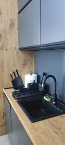 Kuhinja ili čajna kuhinja u objektu Aspectus apartmani Divcibare