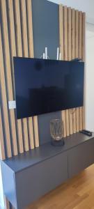 TV i/ili multimedijalni sistem u objektu Aspectus apartmani Divcibare