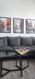 Prostor za sedenje u objektu Aspectus apartmani Divcibare