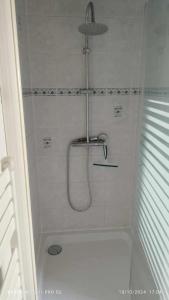 a bathroom with a shower with a bath tub at Le chalet de l'amitié in Luché-Pringé