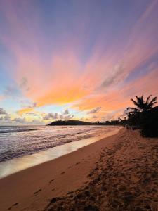 einen Strand mit Palme und Sonnenuntergang in der Unterkunft Kisandu guest in Mirissa