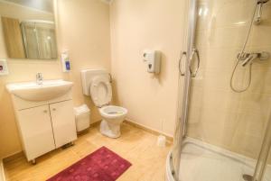 a bathroom with a toilet and a sink and a shower at Dobra Hiša Zdravja Čičarija in Golac +29 photos