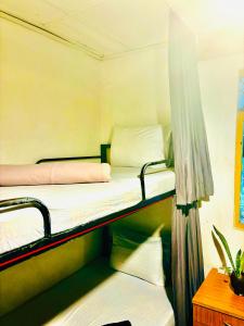 Mad monkey hostel and lounge客房内的一张或多张床位