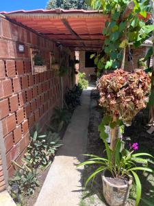 Recanto das Flores Suíte Master 1外面的花园