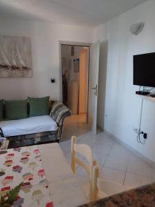 TV a/nebo společenská místnost v ubytování Apartment Miletic