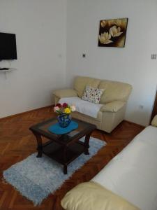 TV a/nebo společenská místnost v ubytování Apartment Miletic