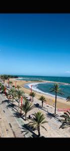 a view of a beach with palm trees and the ocean at Estudio a 100 m del mar in Vinaròs