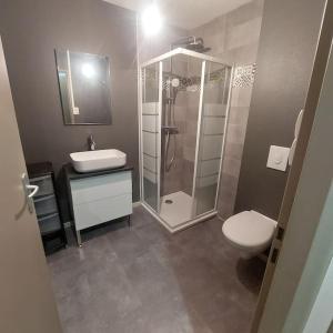 ein Badezimmer mit Dusche, Toilette und Waschbecken in der Unterkunft appartement rénové centre ville in Bourbonne-les-Bains